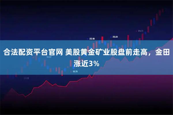合法配资平台官网 美股黄金矿业股盘前走高，金田涨近3%